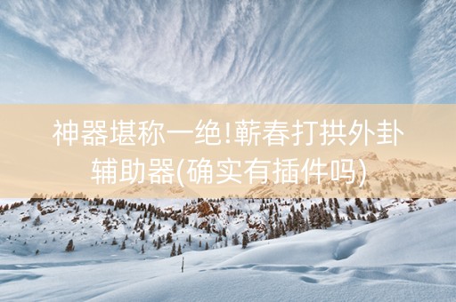 神器堪称一绝!蕲春打拱外卦辅助器(确实有插件吗)