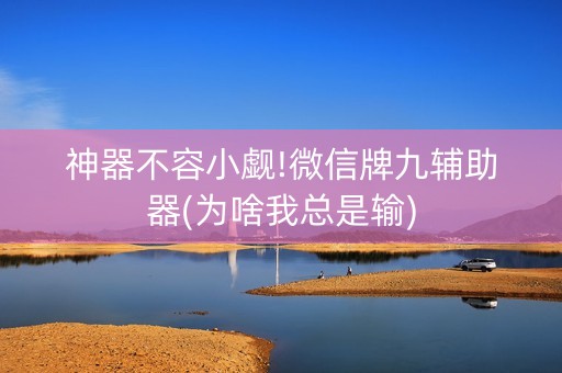 神器不容小觑!微信牌九辅助器(为啥我总是输)