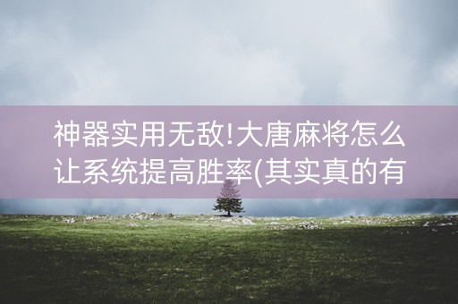 神器实用无敌!大唐麻将怎么让系统提高胜率(其实真的有挂)