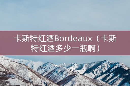 卡斯特红酒Bordeaux（卡斯特红酒多少一瓶啊）