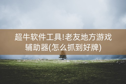 超牛软件工具!老友地方游戏辅助器(怎么抓到好牌)