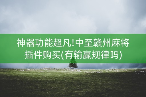 神器功能超凡!中至赣州麻将插件购买(有输赢规律吗)