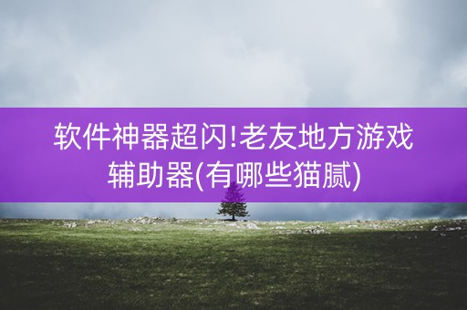 软件神器超闪!老友地方游戏辅助器(有哪些猫腻)