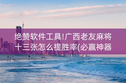 绝赞软件工具!广西老友麻将十三张怎么提胜率(必赢神器)