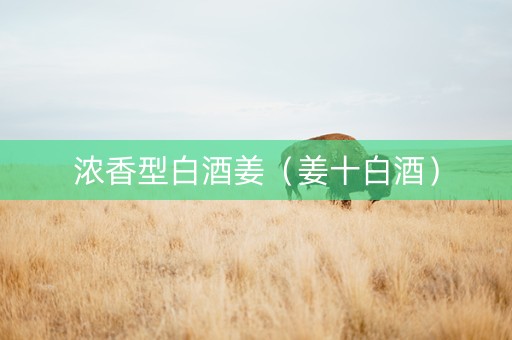 浓香型白酒姜（姜十白酒）