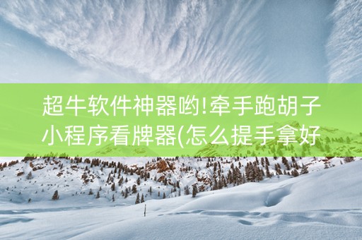 超牛软件神器哟!牵手跑胡子小程序看牌器(怎么提手拿好牌)