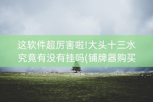 这软件超厉害啦!大头十三水究竟有没有挂吗(铺牌器购买)
