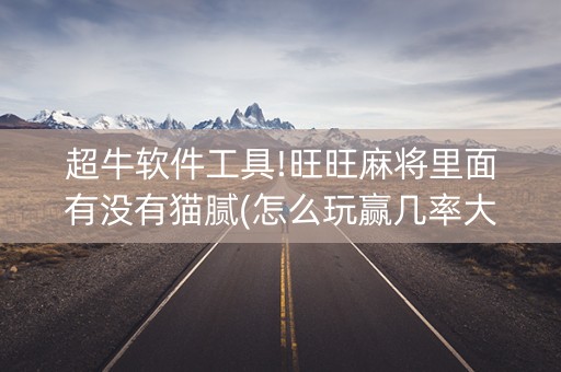 超牛软件工具!旺旺麻将里面有没有猫腻(怎么玩赢几率大)