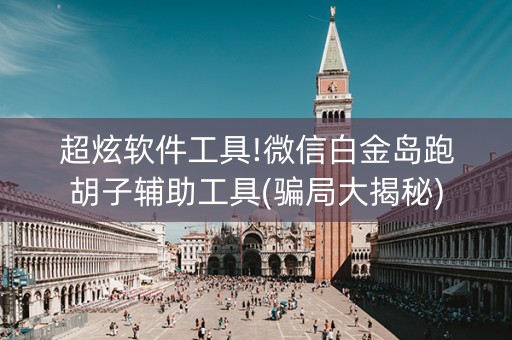 超炫软件工具!微信白金岛跑胡子辅助工具(骗局大揭秘)