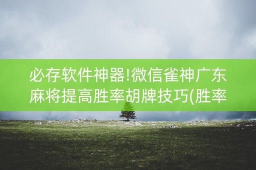必存软件神器!微信雀神广东麻将提高胜率胡牌技巧(胜率到哪调)