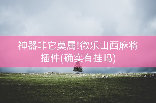 神器非它莫属!微乐山西麻将插件(确实有挂吗)
