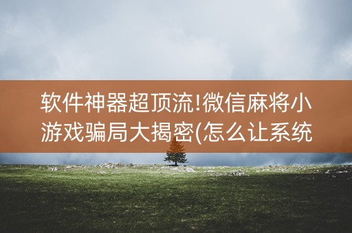 软件神器超顶流!微信麻将小游戏骗局大揭密(怎么让系统给好牌)