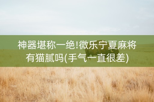 神器堪称一绝!微乐宁夏麻将有猫腻吗(手气一直很差)