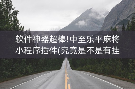 软件神器超棒!中至乐平麻将小程序插件(究竟是不是有挂)