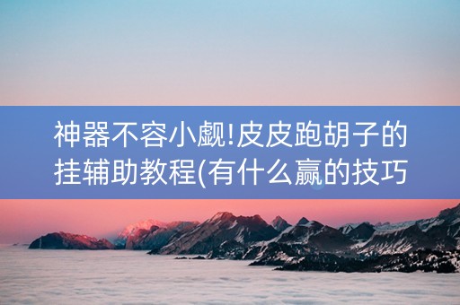 神器不容小觑!皮皮跑胡子的挂辅助教程(有什么赢的技巧)