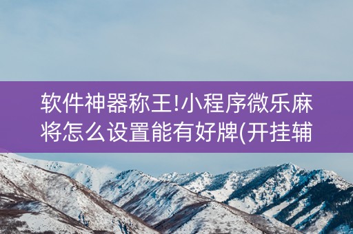 软件神器称王!小程序微乐麻将怎么设置能有好牌(开挂辅助器插件)