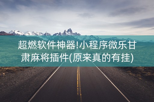 超燃软件神器!小程序微乐甘肃麻将插件(原来真的有挂)