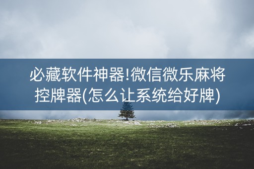 必藏软件神器!微信微乐麻将控牌器(怎么让系统给好牌)