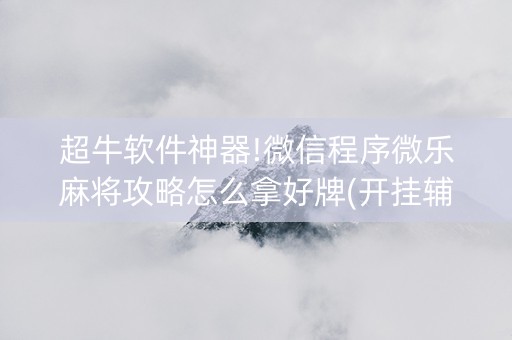 超牛软件神器!微信程序微乐麻将攻略怎么拿好牌(开挂辅助插件)