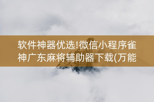 软件神器优选!微信小程序雀神广东麻将辅助器下载(万能开挂器)