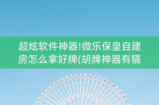 超炫软件神器!微乐保皇自建房怎么拿好牌(胡牌神器有猫腻吗)