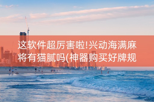 这软件超厉害啦!兴动海满麻将有猫腻吗(神器购买好牌规律)