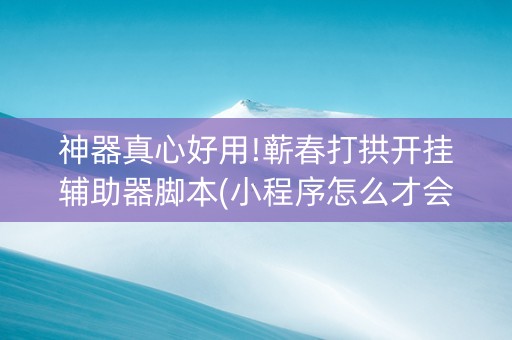 神器真心好用!蕲春打拱开挂辅助器脚本(小程序怎么才会赢)