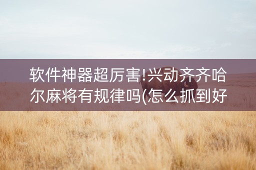 软件神器超厉害!兴动齐齐哈尔麻将有规律吗(怎么抓到好牌)