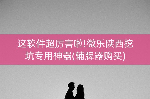 这软件超厉害啦!微乐陕西挖坑专用神器(辅牌器购买)