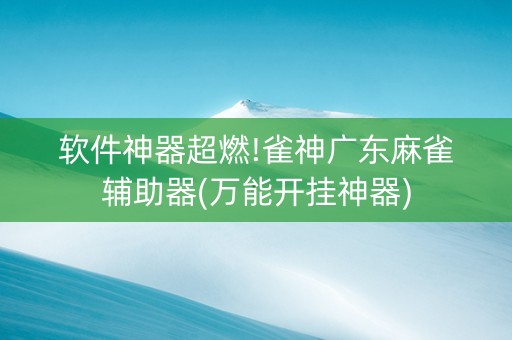 软件神器超燃!雀神广东麻雀辅助器(万能开挂神器)
