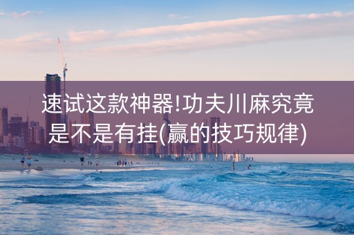 速试这款神器!功夫川麻究竟是不是有挂(赢的技巧规律)