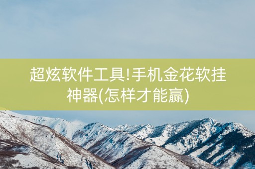 超炫软件工具!手机金花软挂神器(怎样才能赢)