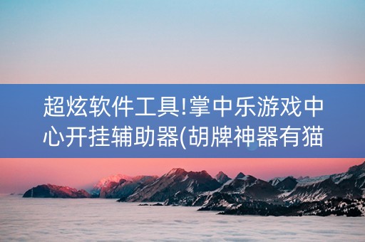超炫软件工具!掌中乐游戏中心开挂辅助器(胡牌神器有猫腻吗)