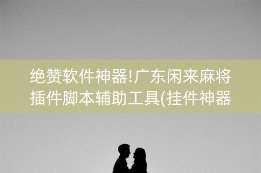 绝赞软件神器!广东闲来麻将插件脚本辅助工具(挂件神器)