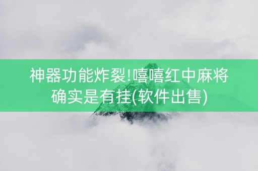 神器功能炸裂!嘻嘻红中麻将确实是有挂(软件出售)