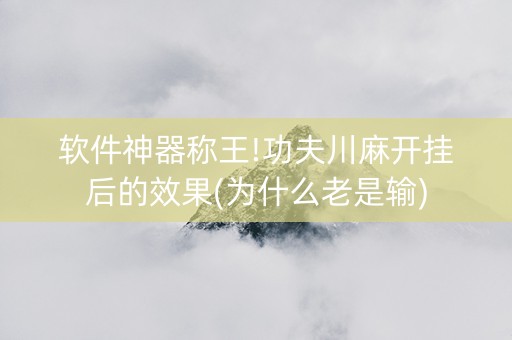 软件神器称王!功夫川麻开挂后的效果(为什么老是输)