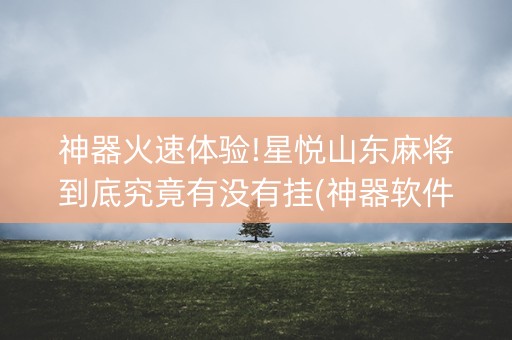 神器火速体验!星悦山东麻将到底究竟有没有挂(神器软件)