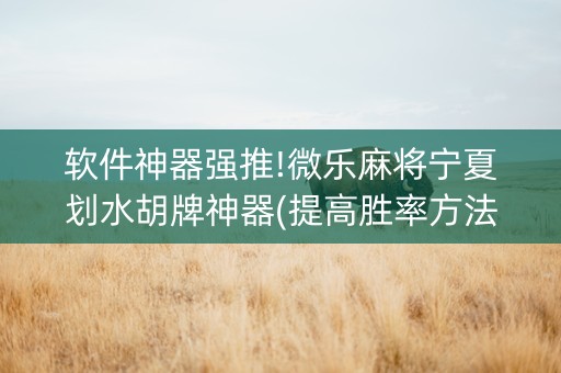 软件神器强推!微乐麻将宁夏划水胡牌神器(提高胜率方法)