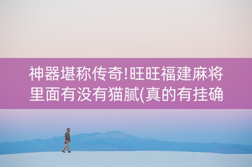 神器堪称传奇!旺旺福建麻将里面有没有猫腻(真的有挂确实有挂)