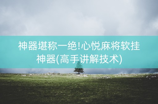 神器堪称一绝!心悦麻将软挂神器(高手讲解技术)