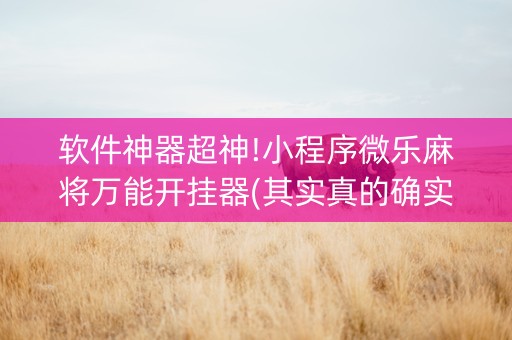 软件神器超神!小程序微乐麻将万能开挂器(其实真的确实有挂)