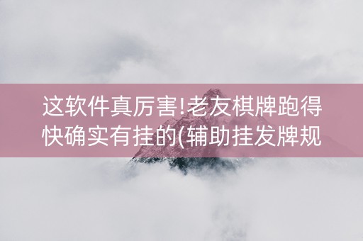 这软件真厉害!老友棋牌跑得快确实有挂的(辅助挂发牌规律)