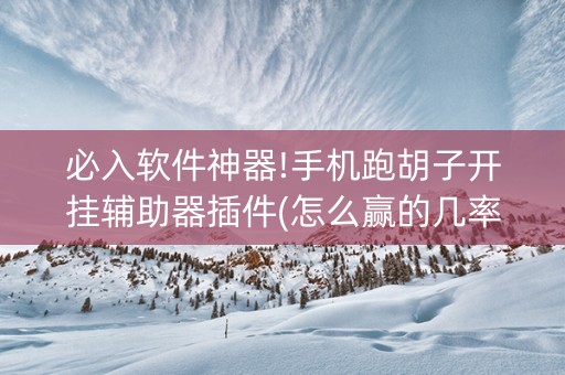 必入软件神器!手机跑胡子开挂辅助器插件(怎么赢的几率大)