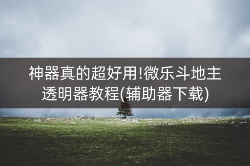 神器真的超好用!微乐斗地主透明器教程(辅助器下载)