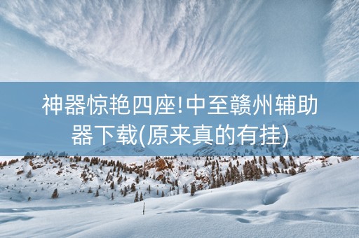 神器惊艳四座!中至赣州辅助器下载(原来真的有挂)