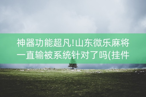 神器功能超凡!山东微乐麻将一直输被系统针对了吗(挂件神器)