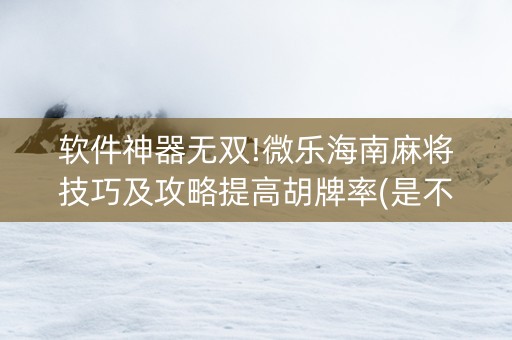 软件神器无双!微乐海南麻将技巧及攻略提高胡牌率(是不是有猫腻)