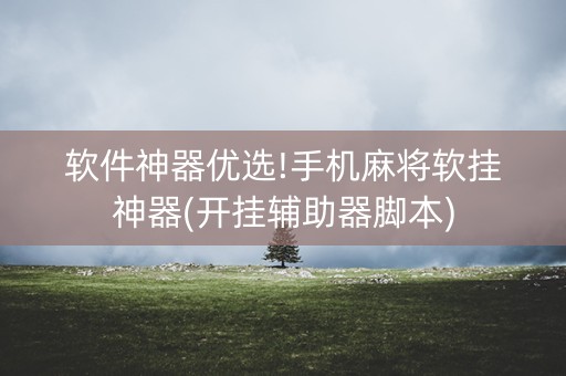 软件神器优选!手机麻将软挂神器(开挂辅助器脚本)