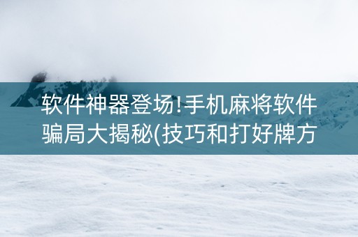 软件神器登场!手机麻将软件骗局大揭秘(技巧和打好牌方法)