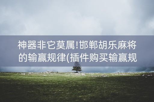 神器非它莫属!邯郸胡乐麻将的输赢规律(插件购买输赢规律)